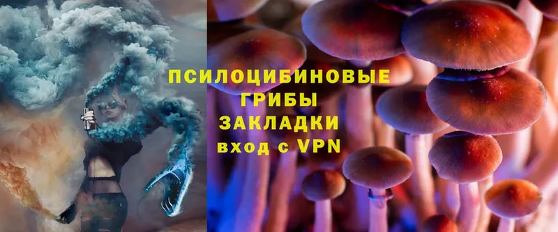 где продают   Бор  Псилоцибиновые грибы MAGIC MUSHROOMS 